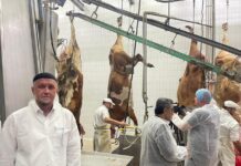 Počela akcija klanja kurbana za potrebe učenika Medrese “Mehmed Fatih”